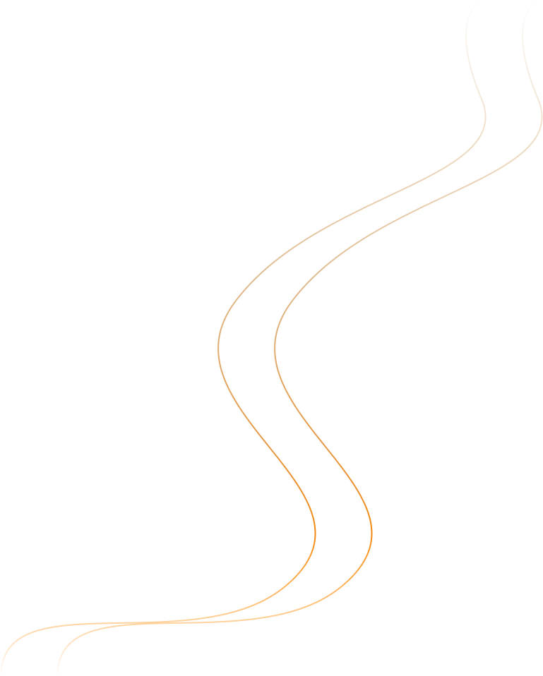 vector shape